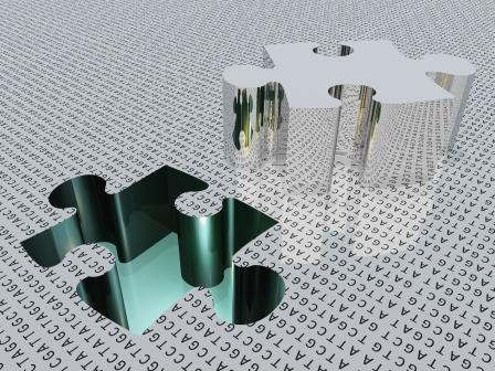 Puzzelstukjes en DNA-code